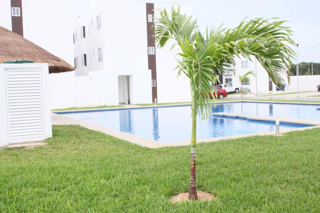 Апартаменты Depa De Playa C/Alberca Cerca De La 5A Avenida Плая-дель-Кармен Экстерьер фото